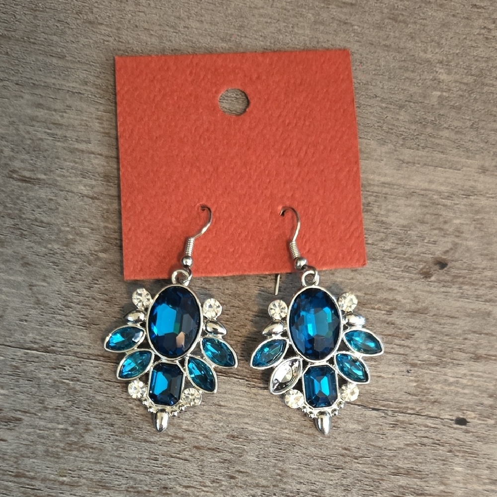 506. Elegant Blue and Silver Earrings